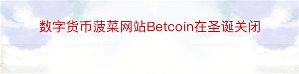 数字货币菠菜网站Betcoin在圣诞关闭