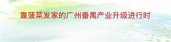 靠菠菜发家的广州番禺产业升级进行时
